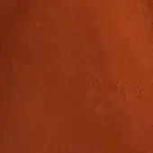2422968 - ARAGOSTA